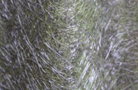 Garthbrengy fibreglass roof work